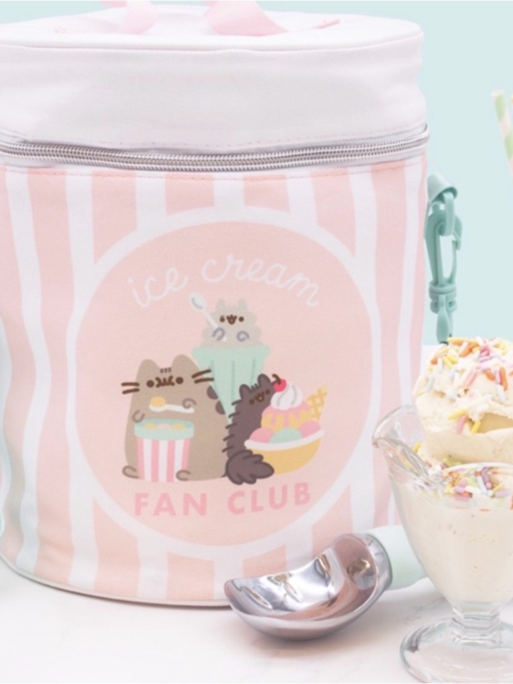 NWT pusheen cooler bag